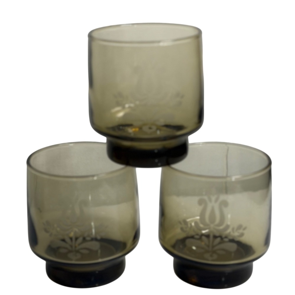VTG Pfaltzgraff Village Water Goblets Brown Glass Etched Floral Setโ of 3 Retro